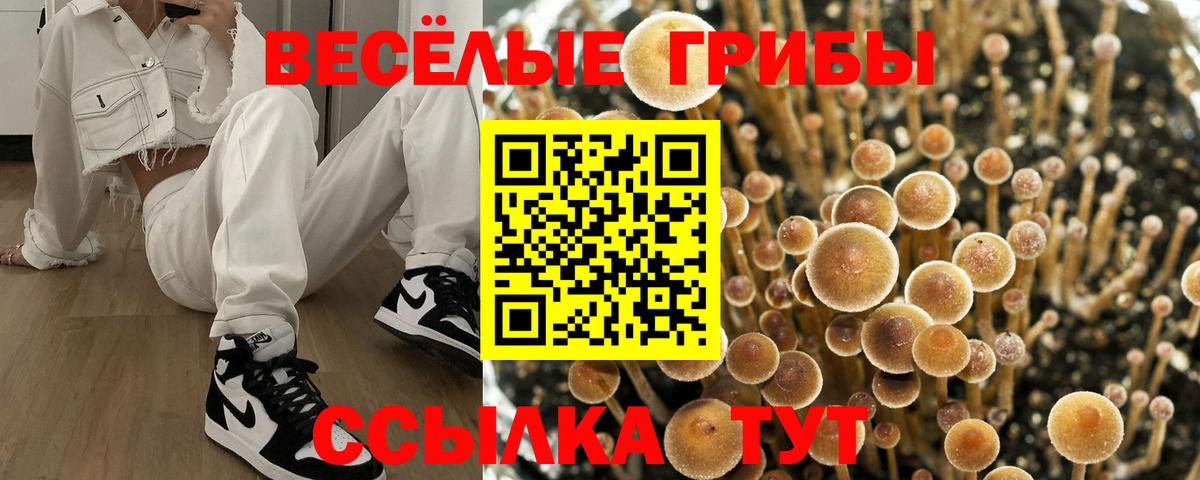 Россошь  Псилоцибиновые грибы MAGIC MUSHROOMS  Вход с VPN 