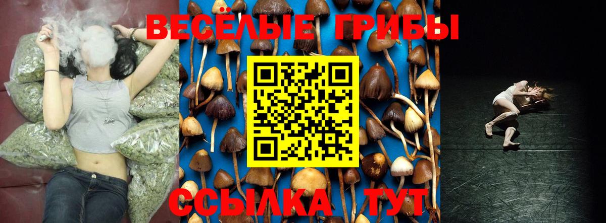 Псилоцибиновые грибы Magic Shrooms Россошь